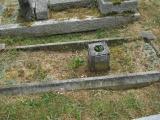 image of grave number 151559